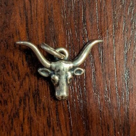 James Avery RETIRED Sterling Silver Longhorn Head Charm - Picture 1 of 2